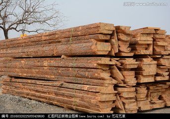 請上海各木箱生產廠家密切關注木材價格行情(圖1)